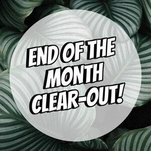 End of the Month Clear-Out!